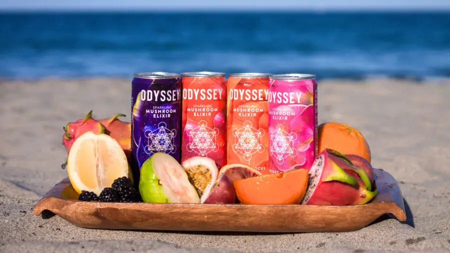 Fungi in the “New Age” of Functional Energy Drinks
