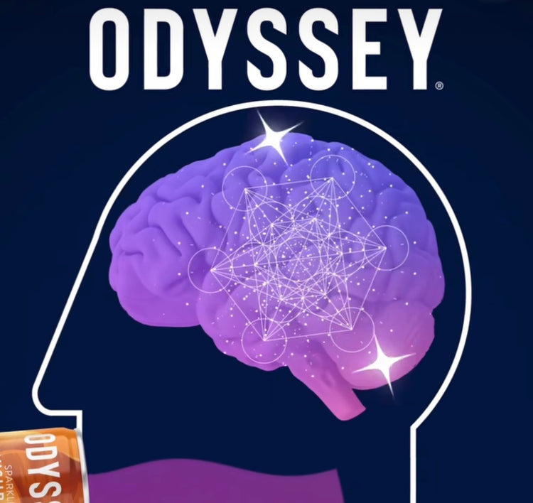 Defogging Your Brain OdysseyElixir