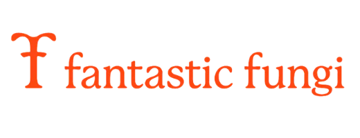 Odyssey Elixir Now Live on Fantastic Fungi Marketplace Created by Fantastic Fungi Documentary Filmmaker Louie Schwartzberg