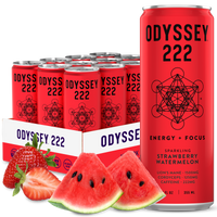 Strawberry Watermelon 222 Sparkling Energy Drink - 222mg Caffeine - 12 Pack